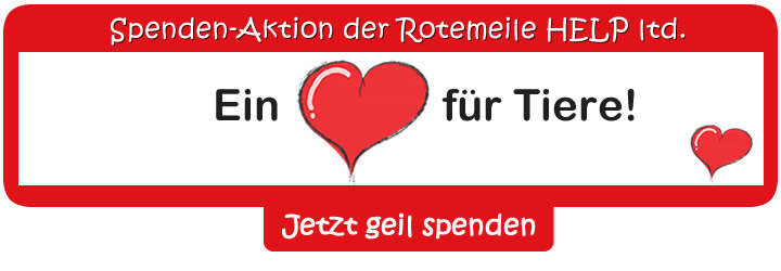 Ein Herz für Tiere - jetzt spenden